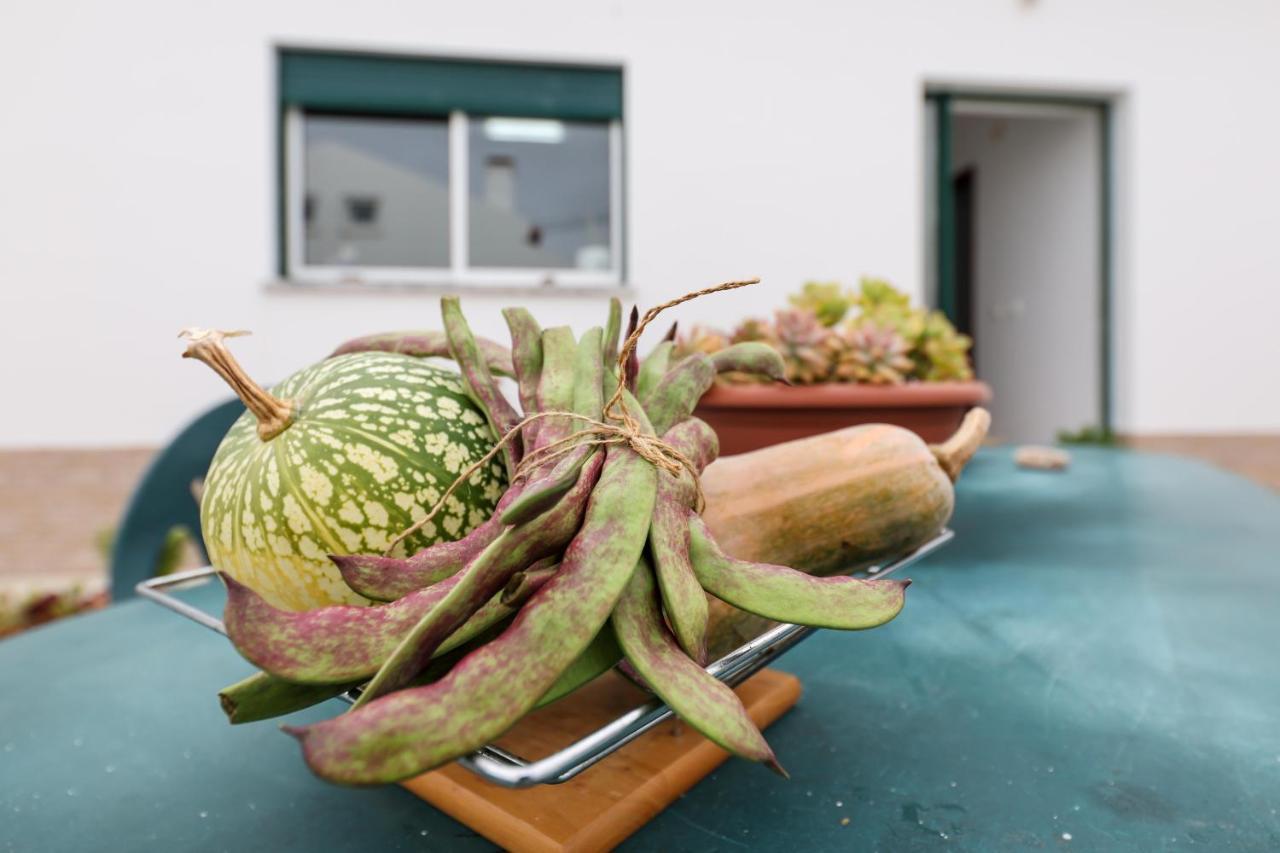 Casas Com Amoras In Serra Da Pescaria Famalicão Esterno foto