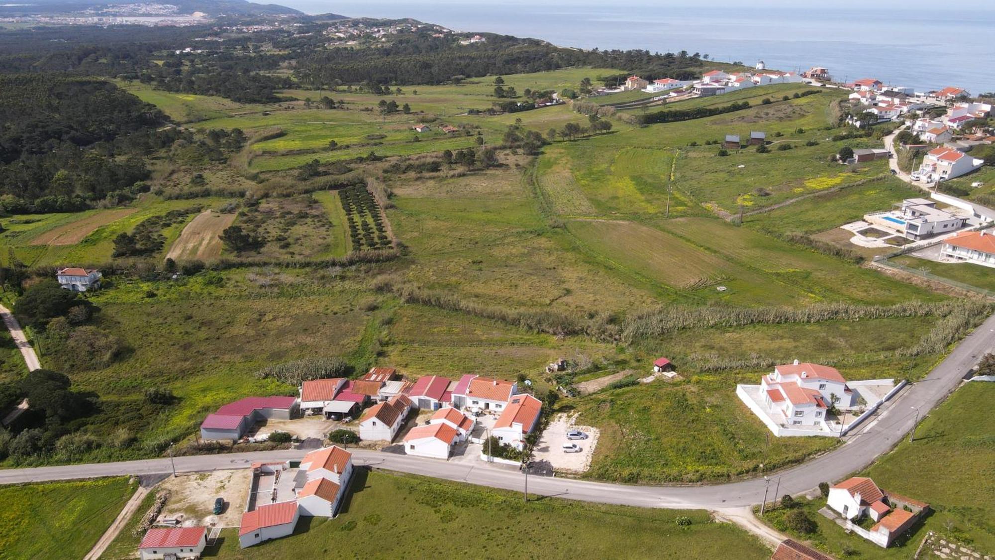 Casas Com Amoras In Serra Da Pescaria Famalicão Esterno foto